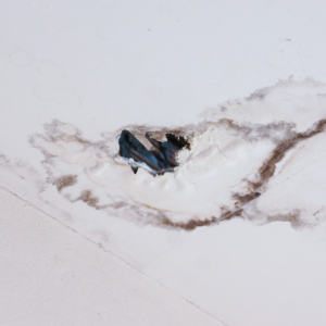 Moisture-damaged ceiling